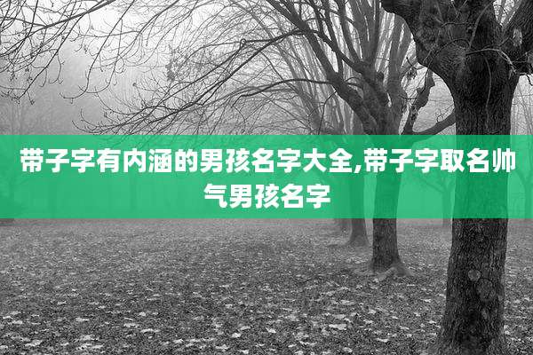 带子字有内涵的男孩名字大全,带子字取名帅气男孩名字