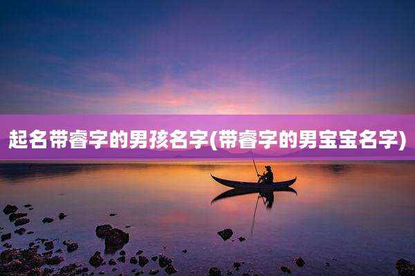 起名带睿字的男孩名字(带睿字的男宝宝名字)