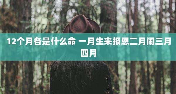 12个月各是什么命 一月生来报恩二月闹三月四月