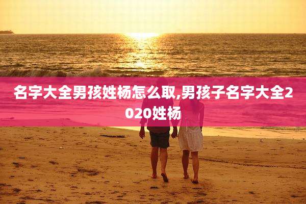 名字大全男孩姓杨怎么取,男孩子名字大全2020姓杨