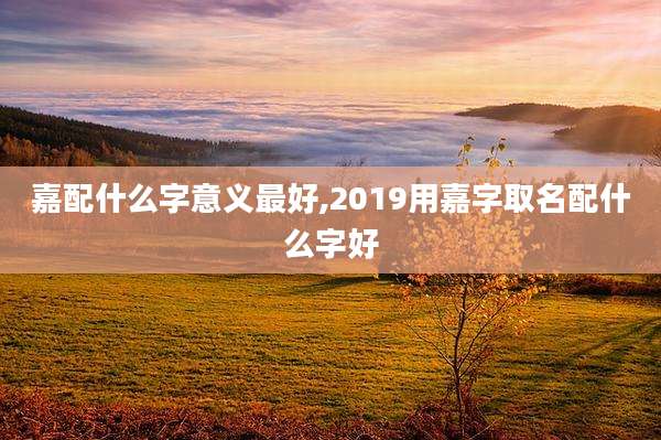 嘉配什么字意义最好,2019用嘉字取名配什么字好