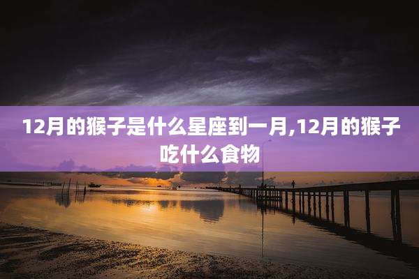 12月的猴子是什么星座到一月,12月的猴子吃什么食物