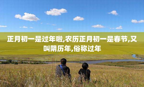 正月初一是过年啦,农历正月初一是春节,又叫阴历年,俗称过年