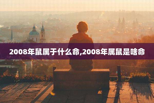 2008年鼠属于什么命,2008年属鼠是啥命