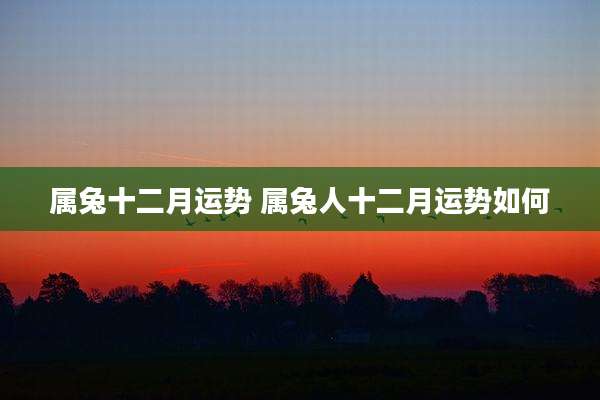 属兔十二月运势 属兔人十二月运势如何