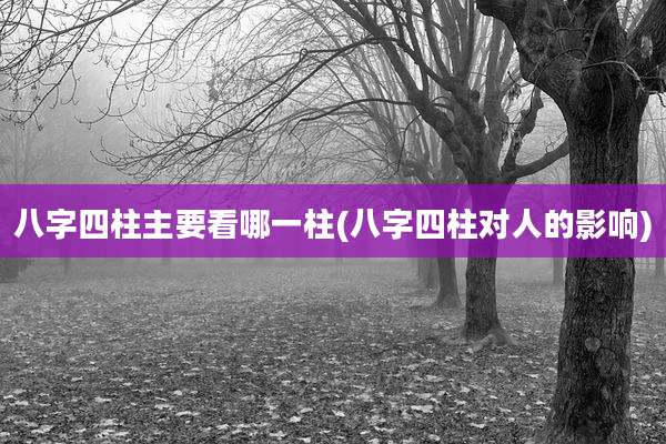 八字四柱主要看哪一柱(八字四柱对人的影响)