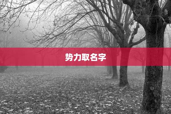势力取名字
