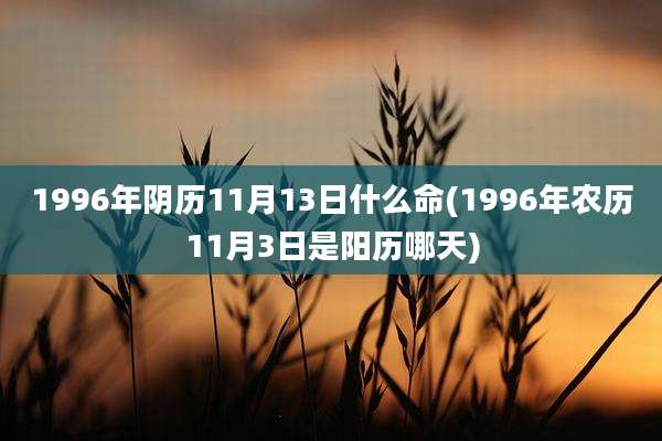 1996年阴历11月13日什么命(1996年农历11月3日是阳历哪天)