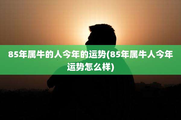 85年属牛的人今年的运势(85年属牛人今年运势怎么样)