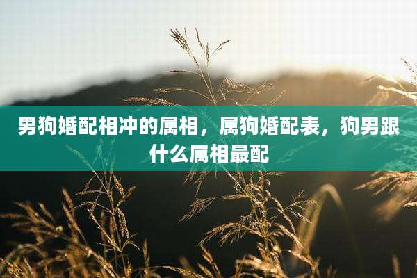 男狗婚配相冲的属相,属狗婚配表,狗男跟什么属相最配