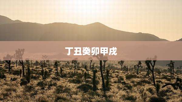 丁丑癸卯甲戌