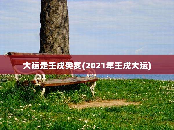 大运走壬戌癸亥(2021年壬戌大运)