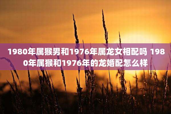 1980年属猴男和1976年属龙女相配吗 1980年属猴和1976年的龙婚配怎么样