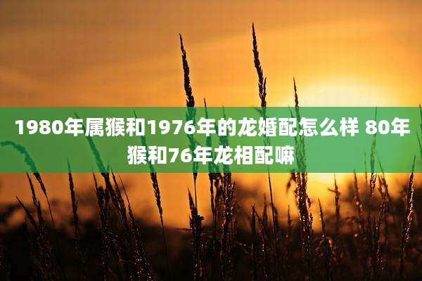 1980年属猴和1976年的龙婚配怎么样 80年猴和76年龙相配嘛