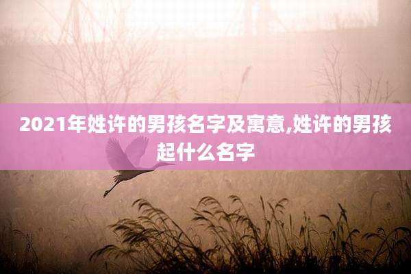 2021年姓许的男孩名字及寓意,姓许的男孩起什么名字