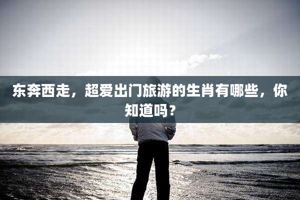 东奔西走,超爱出门旅游的生肖有哪些,你知道吗?