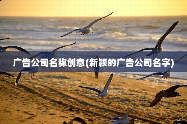 广告公司名称创意(新颖的广告公司名字)