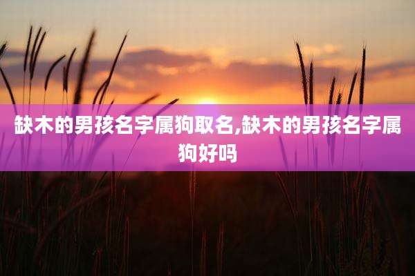 缺木的男孩名字属狗取名,缺木的男孩名字属狗好吗