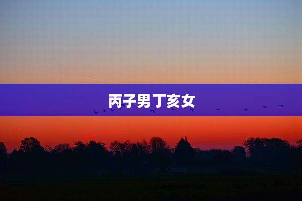 丙子男丁亥女