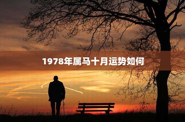 1978年属马十月运势如何