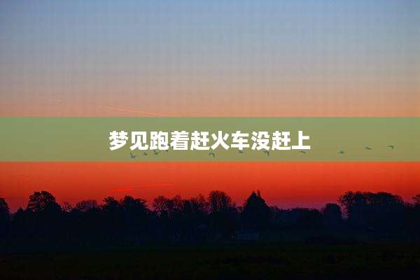 梦见跑着赶火车没赶上
