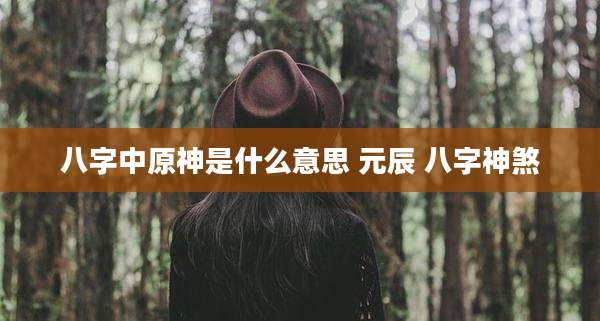 八字中原神是什么意思 元辰 八字神煞