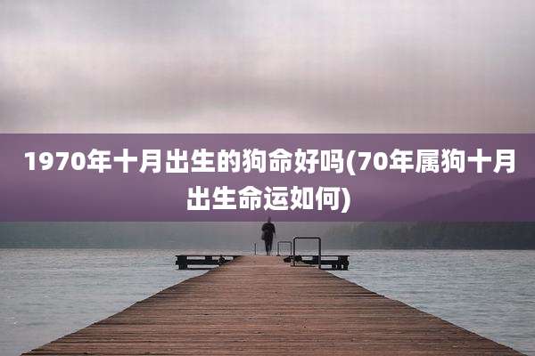 1970年十月出生的狗命好吗(70年属狗十月出生命运如何)