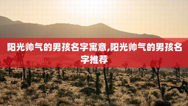 阳光帅气的男孩名字寓意,阳光帅气的男孩名字推荐