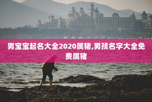 男宝宝起名大全2020属猪,男孩名字大全免费属猪