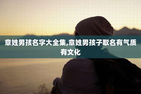 章姓男孩名字大全集,章姓男孩子取名有气质有文化