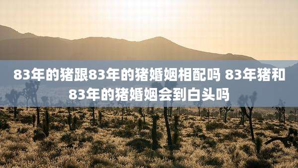 83年的猪跟83年的猪婚姻相配吗 83年猪和83年的猪婚姻会到白头吗