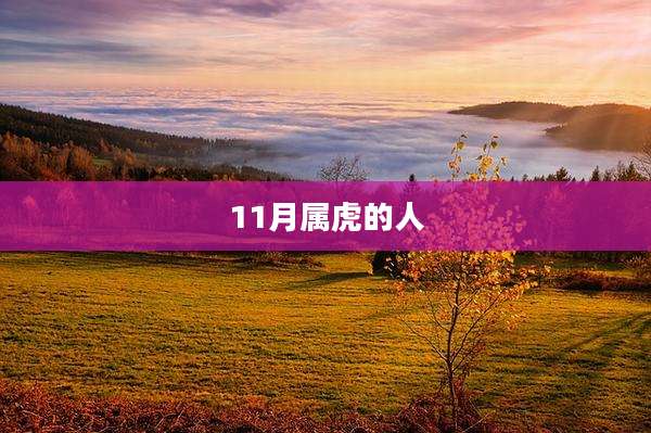 11月属虎的人