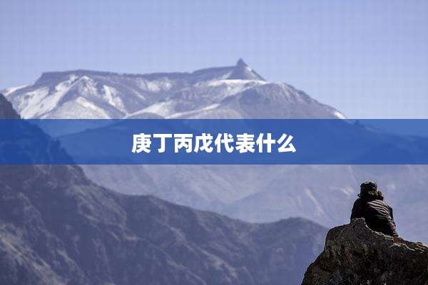 庚丁丙戊代表什么