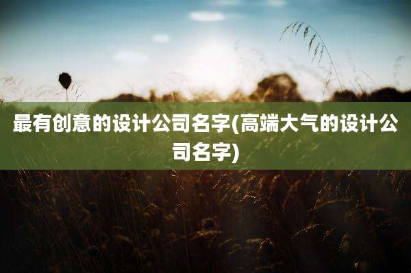 最有创意的设计公司名字(高端大气的设计公司名字)