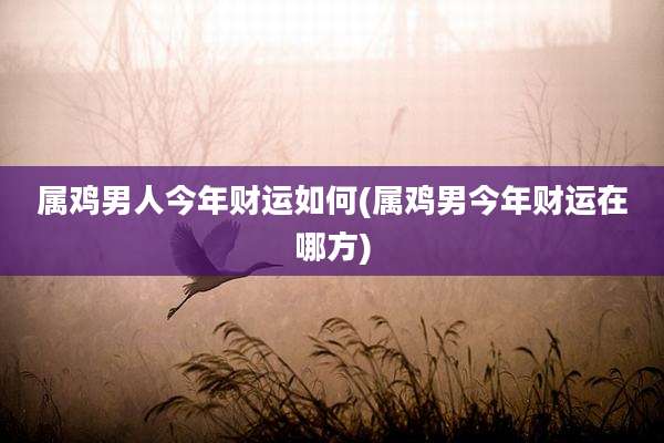 属鸡男人今年财运如何(属鸡男今年财运在哪方)