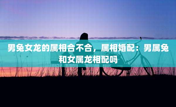 男兔女龙的属相合不合,属相婚配:男属兔和女属龙相配吗