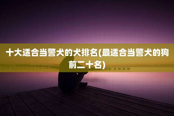 十大适合当警犬的犬排名(最适合当警犬的狗前二十名)