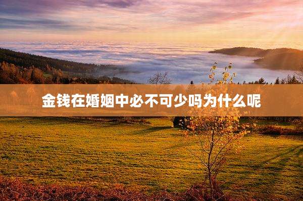 金钱在婚姻中必不可少吗为什么呢