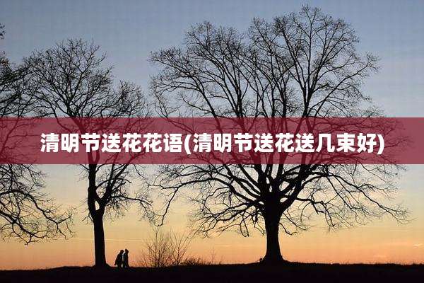 清明节送花花语(清明节送花送几束好)