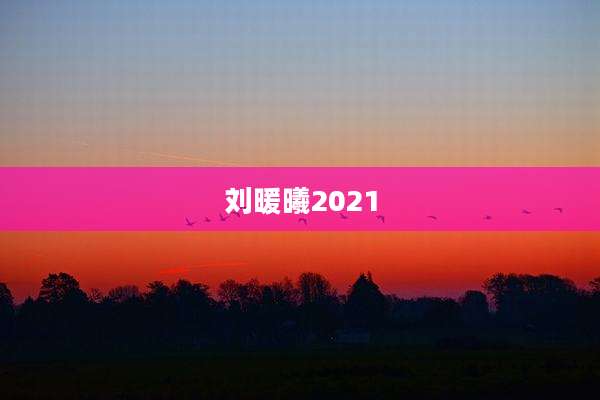 刘暖曦2021