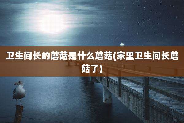 卫生间长的蘑菇是什么蘑菇(家里卫生间长蘑菇了)