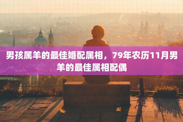 男孩属羊的最佳婚配属相,79年农历11月男羊的最佳属相配偶