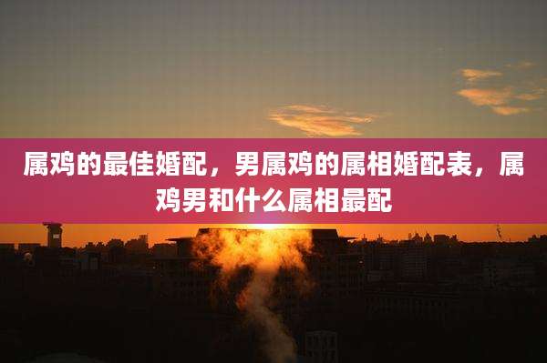 属鸡的最佳婚配，男属鸡的属相婚配表，属鸡男和什么属相最配