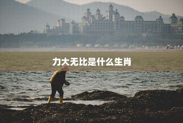 力大无比是什么生肖