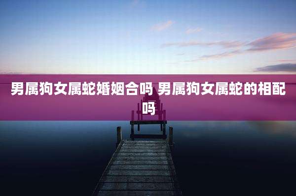 男属狗女属蛇婚姻合吗 男属狗女属蛇的相配吗