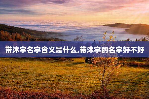 带沐字名字含义是什么,带沐字的名字好不好