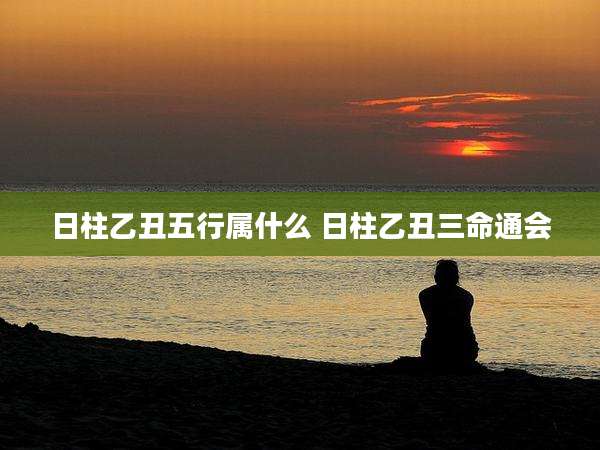 日柱乙丑五行属什么 日柱乙丑三命通会