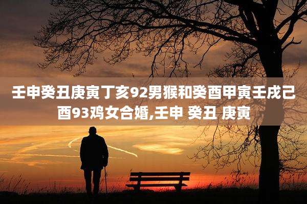 壬申癸丑庚寅丁亥92男猴和癸酉甲寅壬戌己酉93鸡女合婚,壬申 癸丑 庚寅