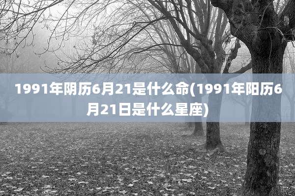 1991年阴历6月21是什么命(1991年阳历6月21日是什么星座)