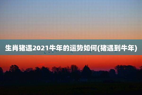 生肖猪遇2021牛年的运势如何(猪遇到牛年)